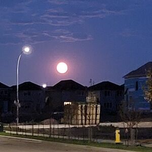 Meet your Posher, Keiz